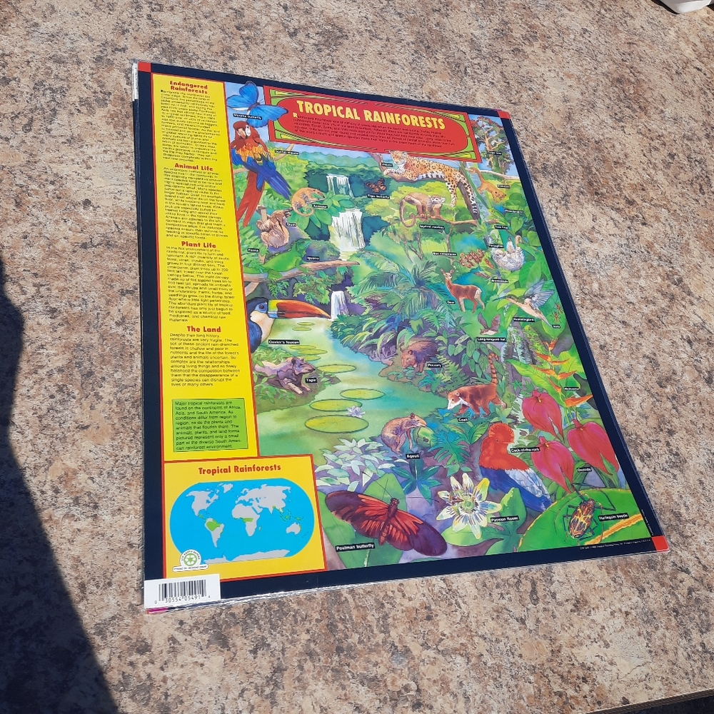 Vintage Tropical Rainforests Classroom Bulletin Board Creative Teaching Press